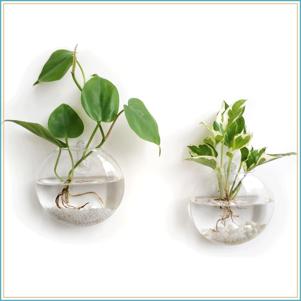 Home Bathroom Glass - Glass Hanging Terrarium Planter Oblate Vase