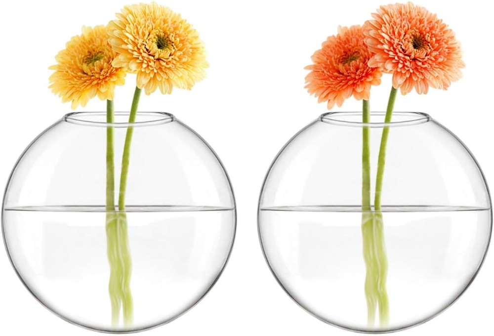Glass Hanging Terrarium Plante - огляд і ціна Home Bathroom Glass